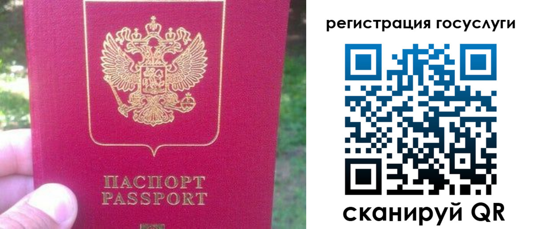 временная прописка в Реутове
